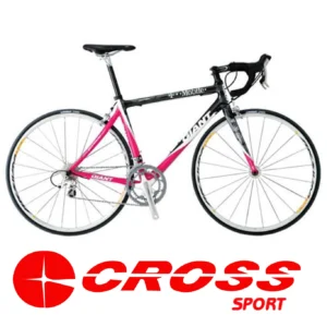 دوچرخه کورسی جاینت مدل TCR ALLIAN TM سایز 28 اینچ