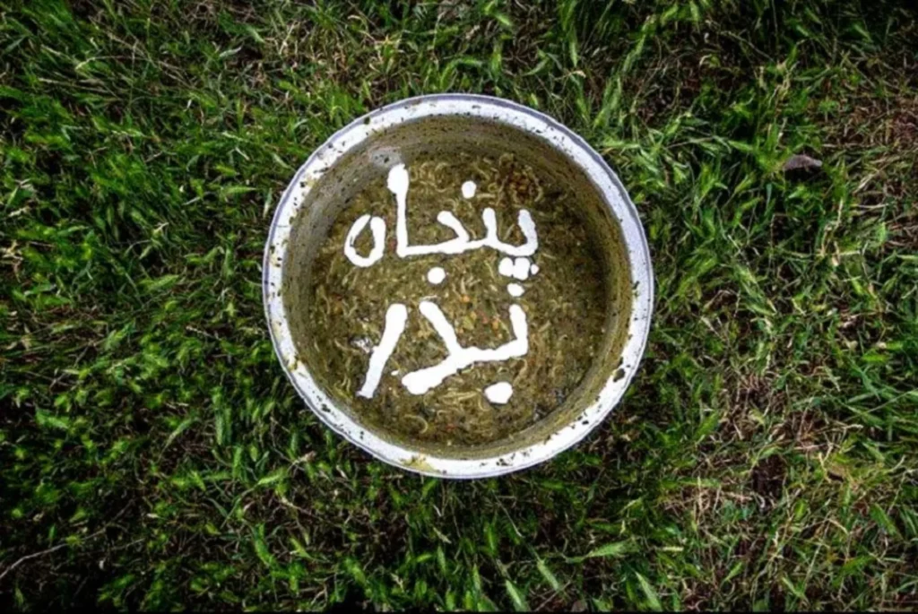 پنجاه بدر